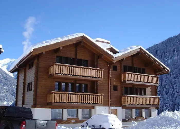 Platane B Daire Grimentz